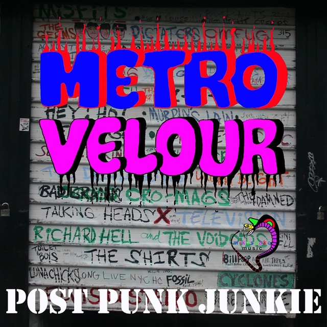 Couverture de Post Punk Junkie