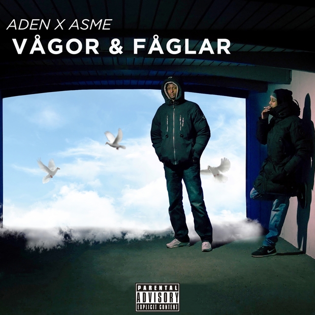 Couverture de Vågor & fåglar