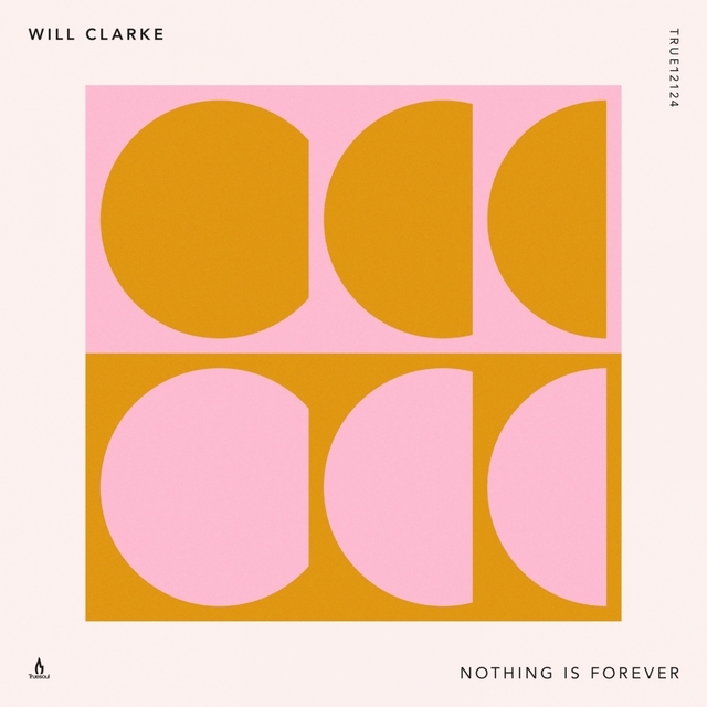 Couverture de Nothing Is Forever