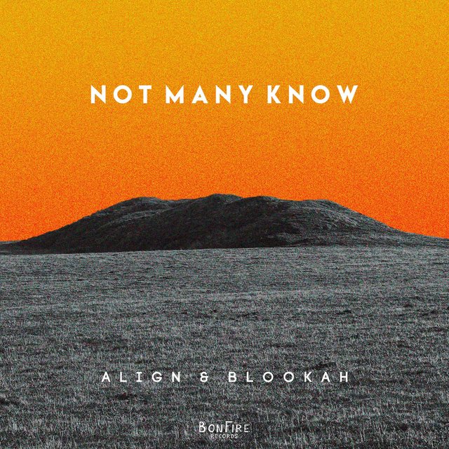 Couverture de Not Many Know