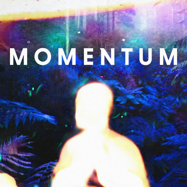 Couverture de Momentum