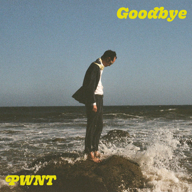 Couverture de Goodbye