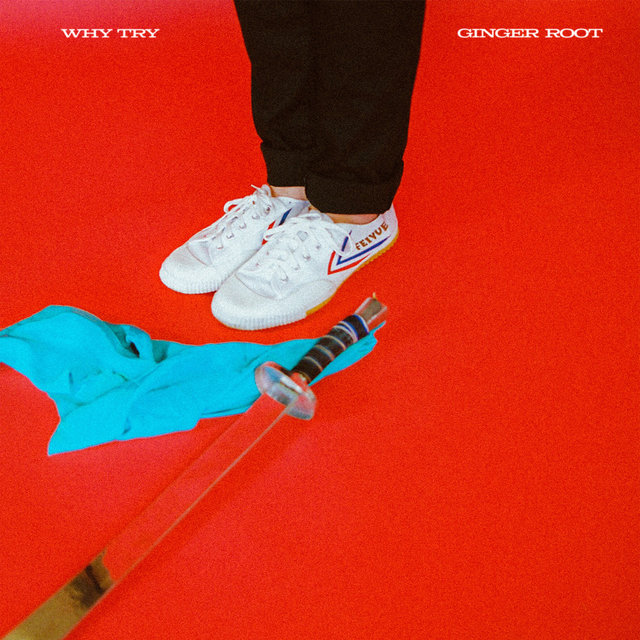 Couverture de Why Try