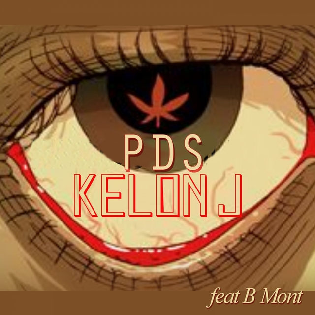 Couverture de PDS