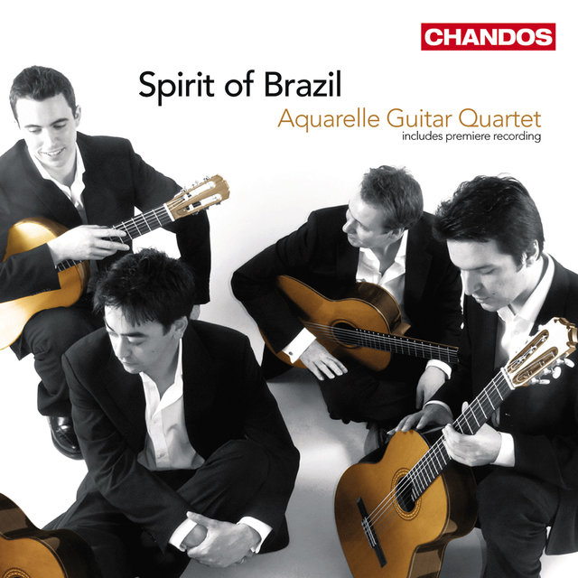 Couverture de Spirit of Brazil