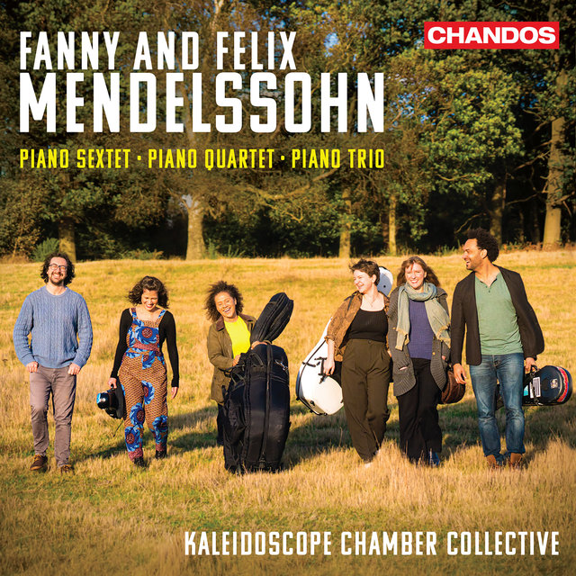 Couverture de Fanny & Felix Mendelssohn: Piano Sextet, Piano Quartet, Piano Trio