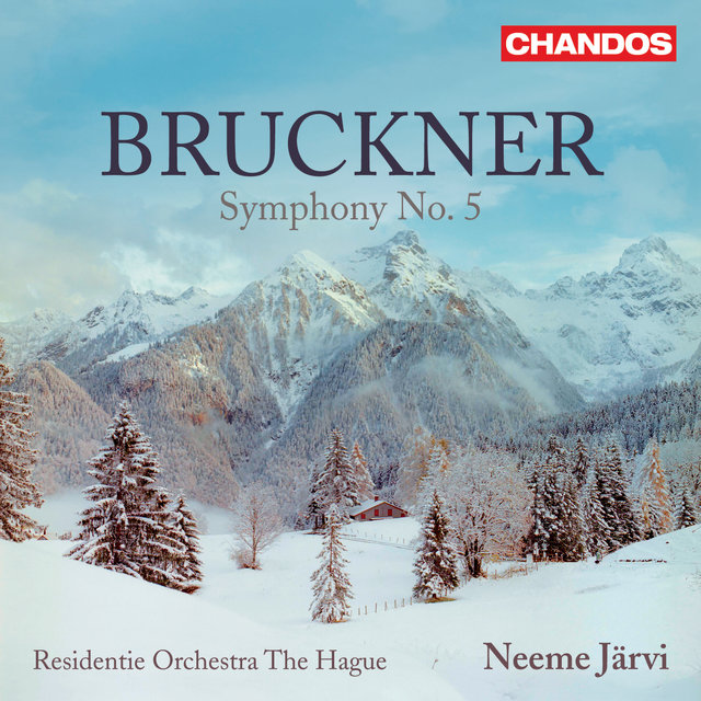 Couverture de Bruckner: Symphony No. 5