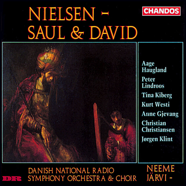 Couverture de Nielsen: Saul & David