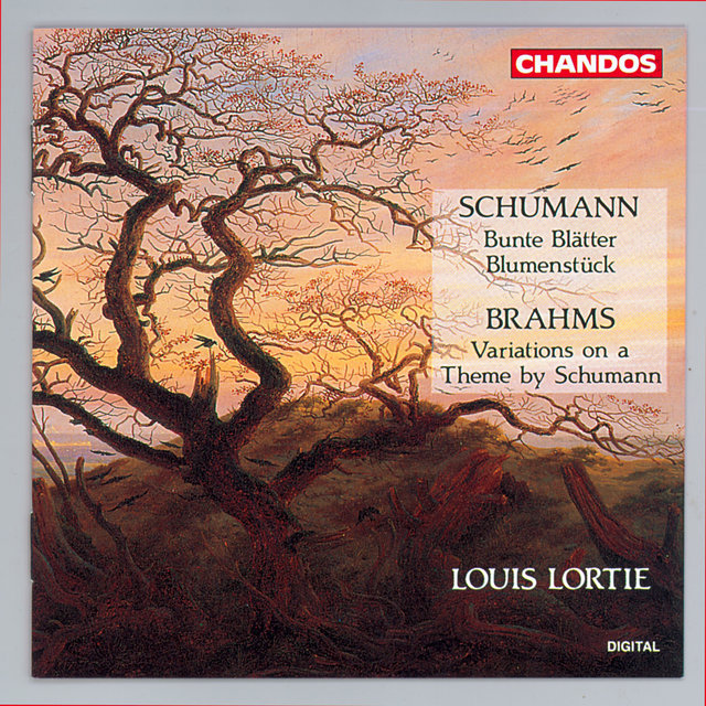 Schumann & Brahms: Piano Works
