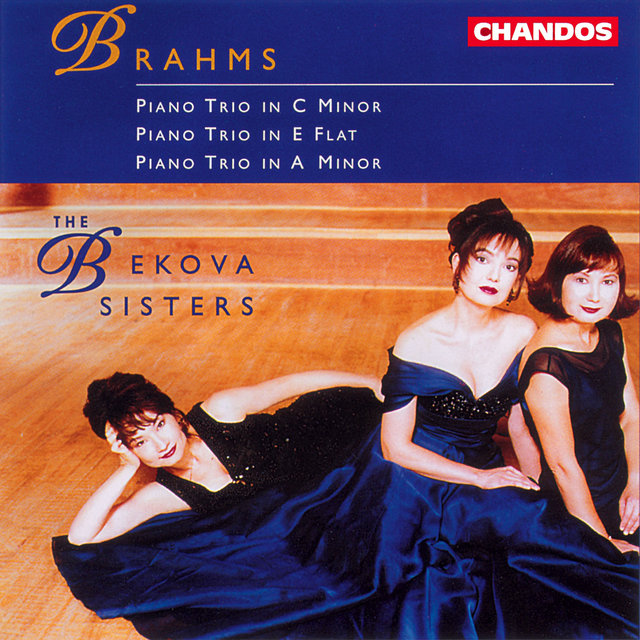 Couverture de Brahms: Piano Trios