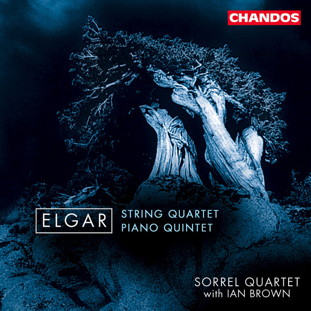 Couverture de Elgar: String Quartet & Piano Quintet