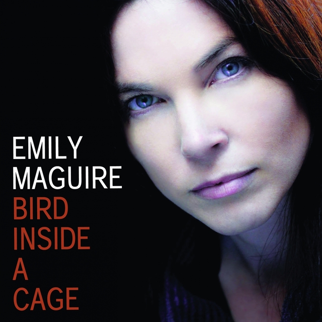 Bird Inside a Cage