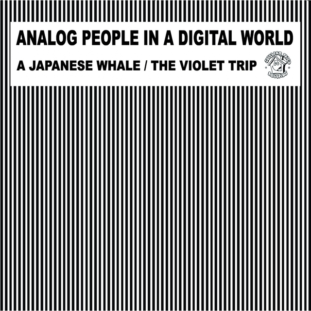 Couverture de A Japanese Whale the Violet Trip