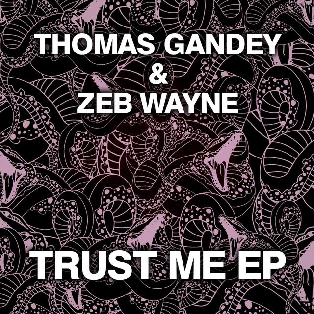 Couverture de Trust Me EP
