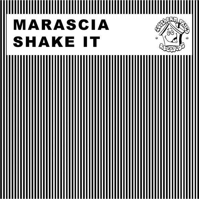 Couverture de Shake It