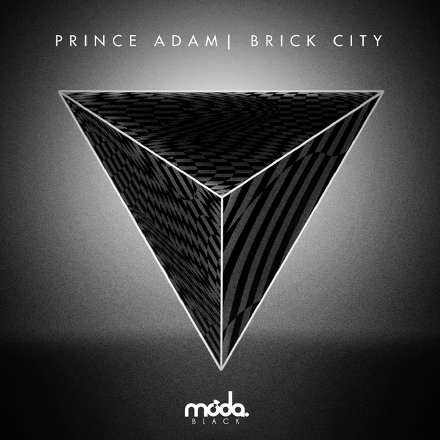 Couverture de Brick City