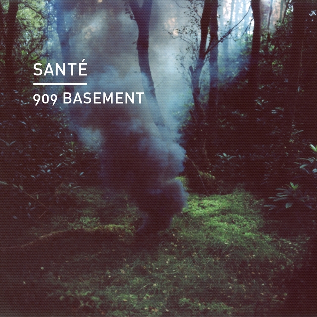 Couverture de 909 Basement