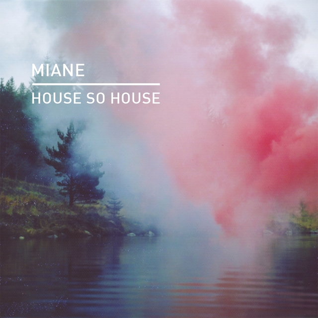 Couverture de House so House