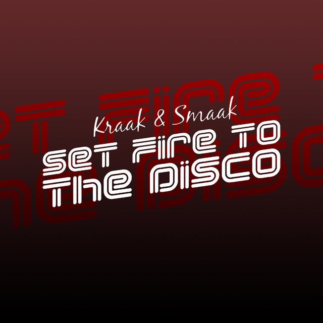 Set Fire to the Disco - Single