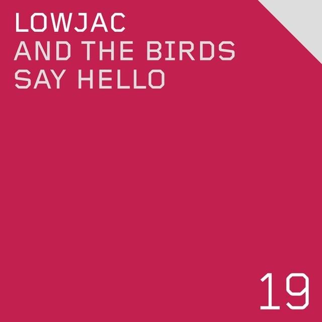 Couverture de And the Birds Say Hello