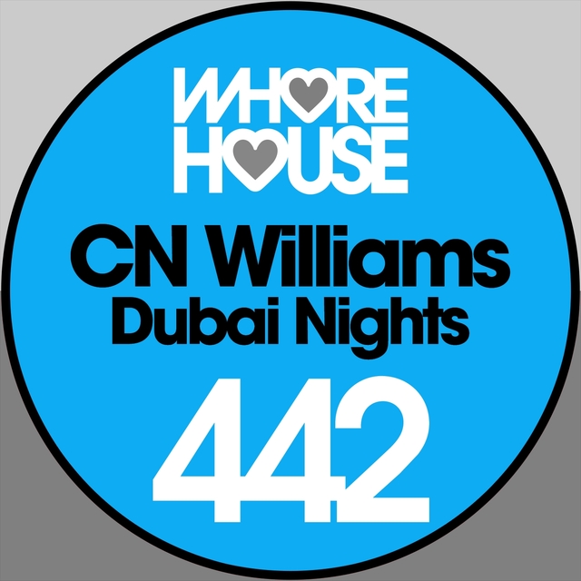 Couverture de Dubai Nights