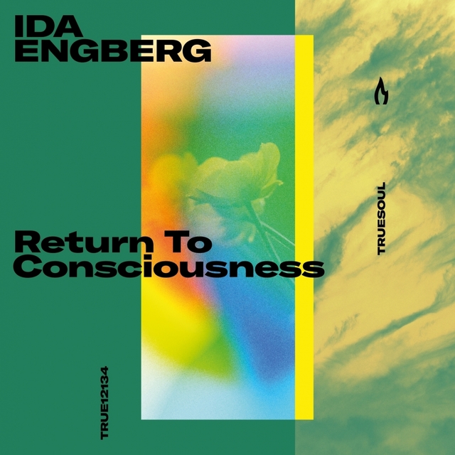 Couverture de Return to Consciousness