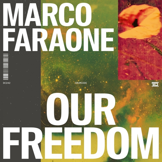 Couverture de Our Freedom