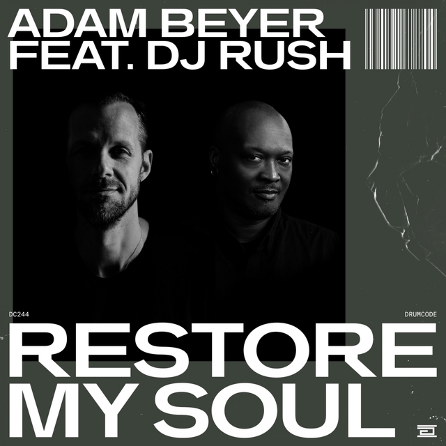 Couverture de Restore My Soul