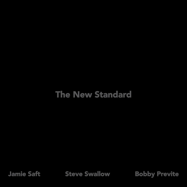 Couverture de The New Standard