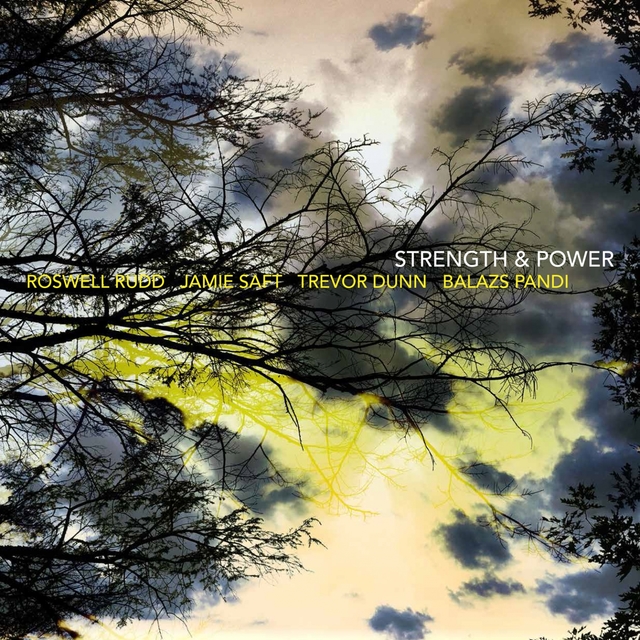 Couverture de Strength & Power