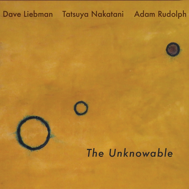 Couverture de The Unknowable