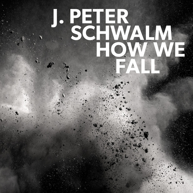 Couverture de How We Fall