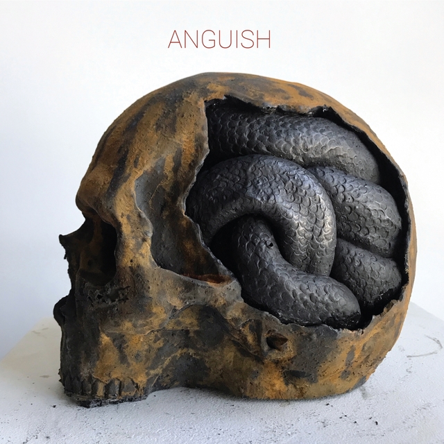 Couverture de Anguish