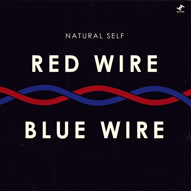 Couverture de Red Wire Blue Wire