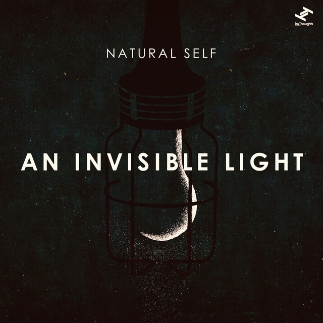 Couverture de An Invisible Light