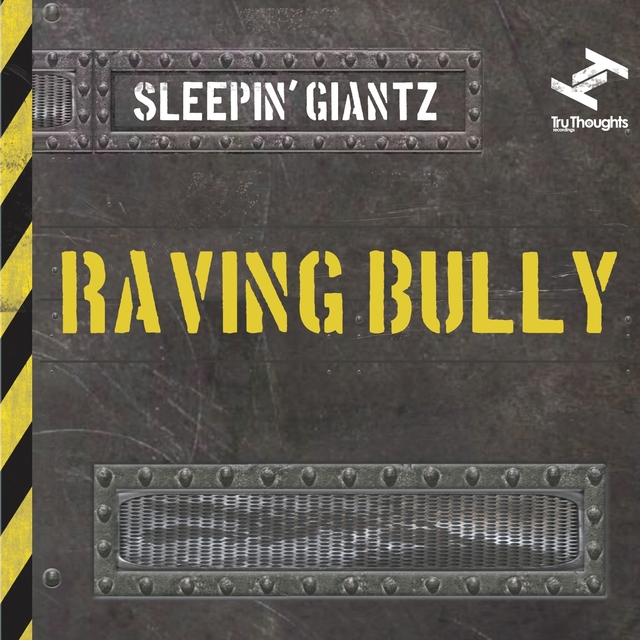 Couverture de Raving Bully