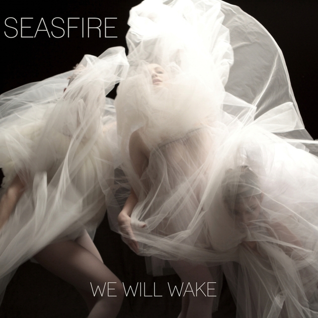 Couverture de We Will Wake