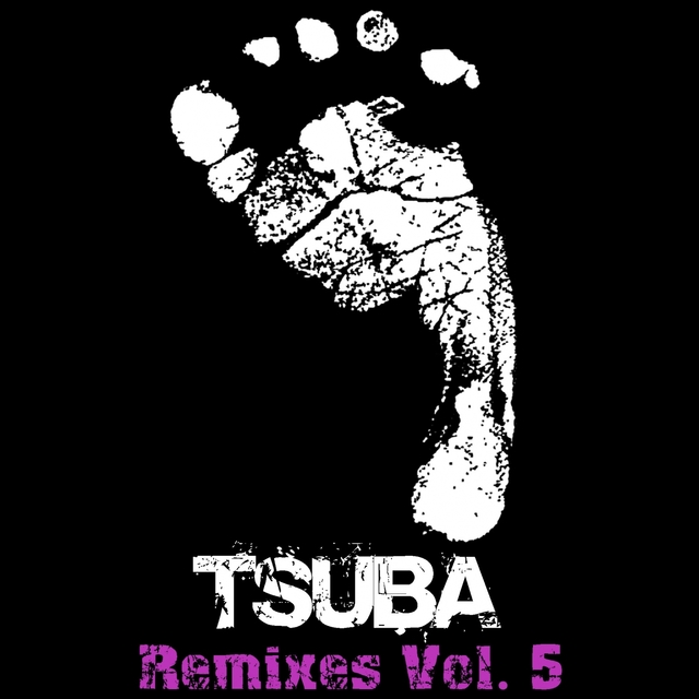 Couverture de Tsuba Remixes, Vol. 5