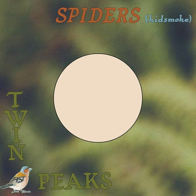 Couverture de Spiders (Kidsmoke)