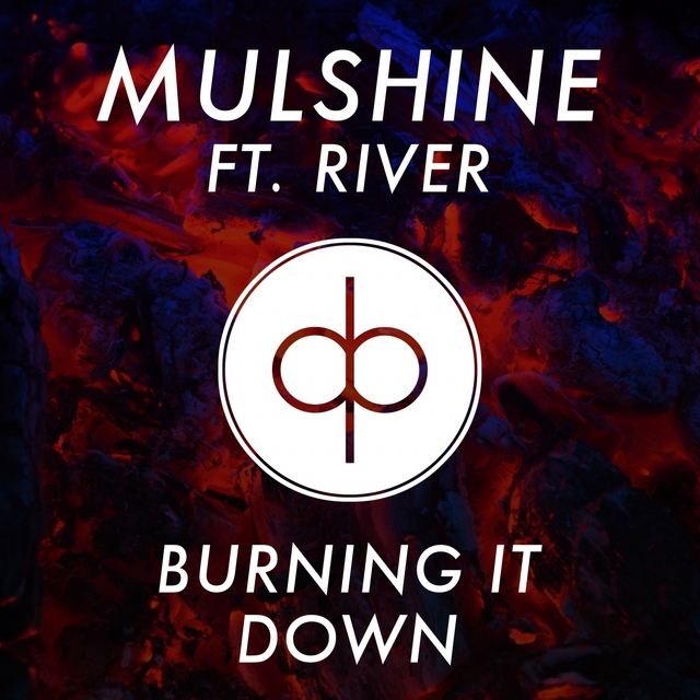 Couverture de Burning It Down