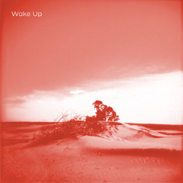 Couverture de Wake Up