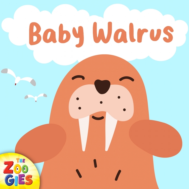 Couverture de Baby Walrus