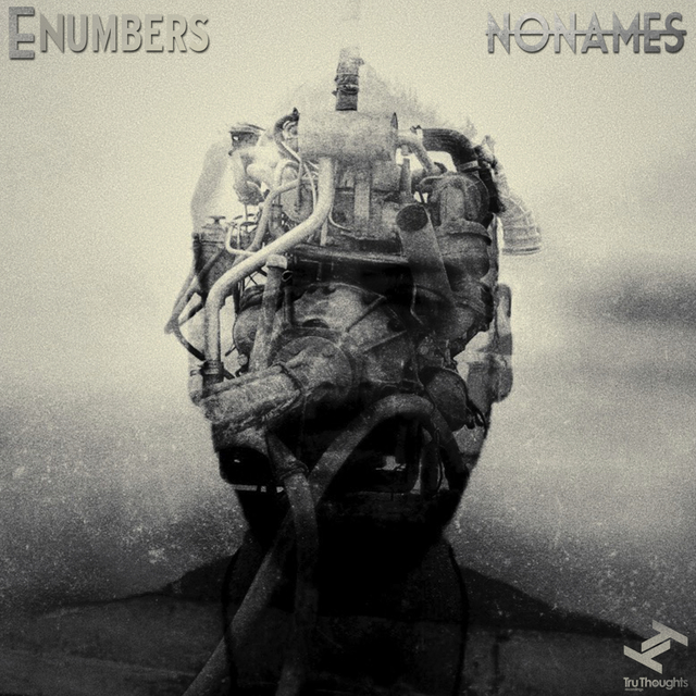 Couverture de E Numbers