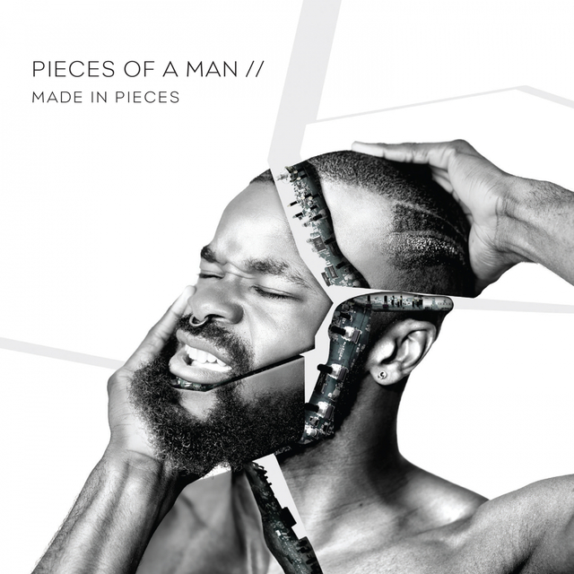 Couverture de Made in Pieces