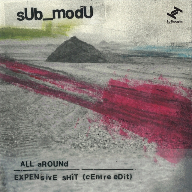 Couverture de All Around / Expensive Shit