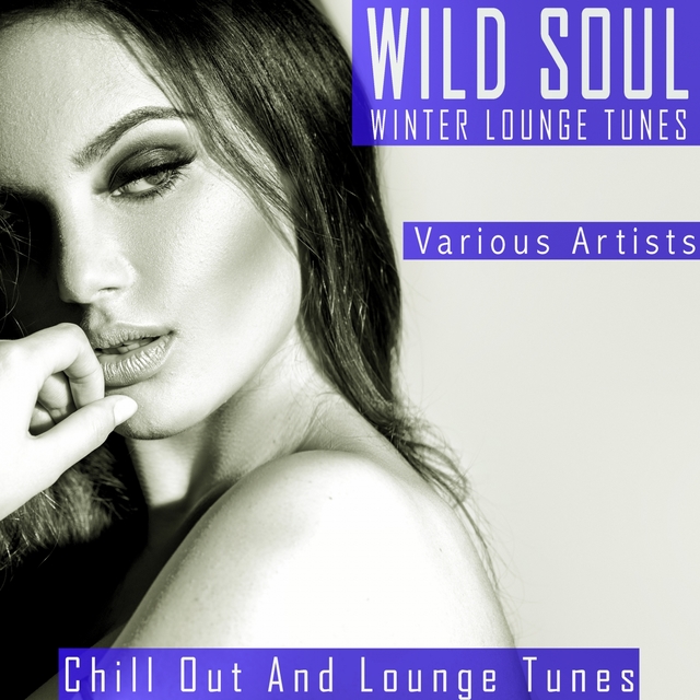 Couverture de Wild Soul - Winter Lounge Tunes