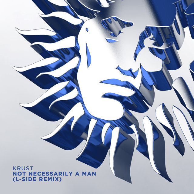 Couverture de Not Necessarily a Man