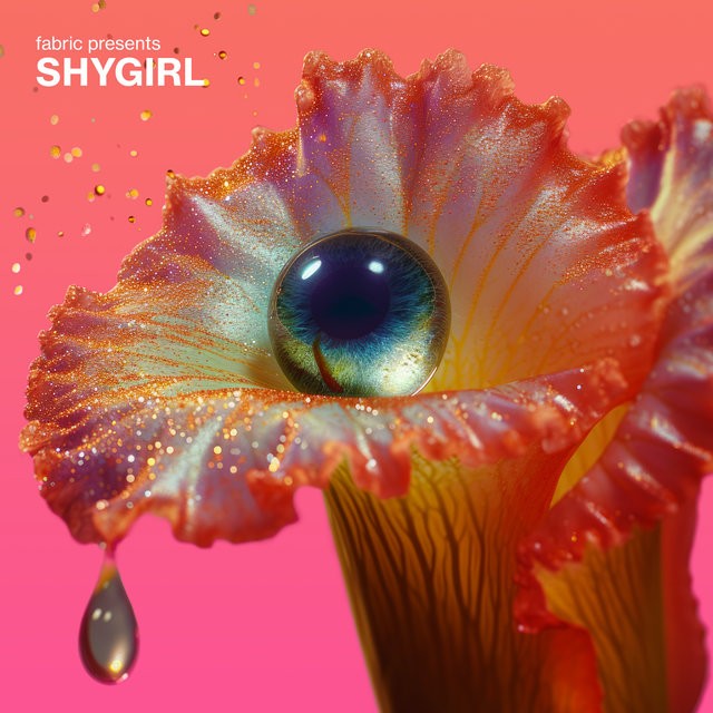 fabric presents Shygirl