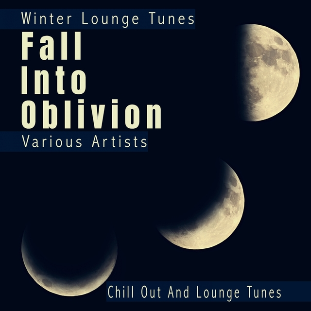 Couverture de Fall Into Oblivion - Winter Lounge Tunes