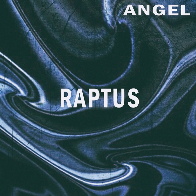 Couverture de Raptus